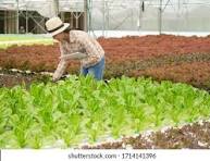 Organic Farming Supplies